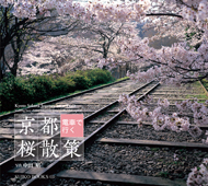 Kyoto Sakura Journey on a Train   Visiting best cherry blossom spots in the old capital